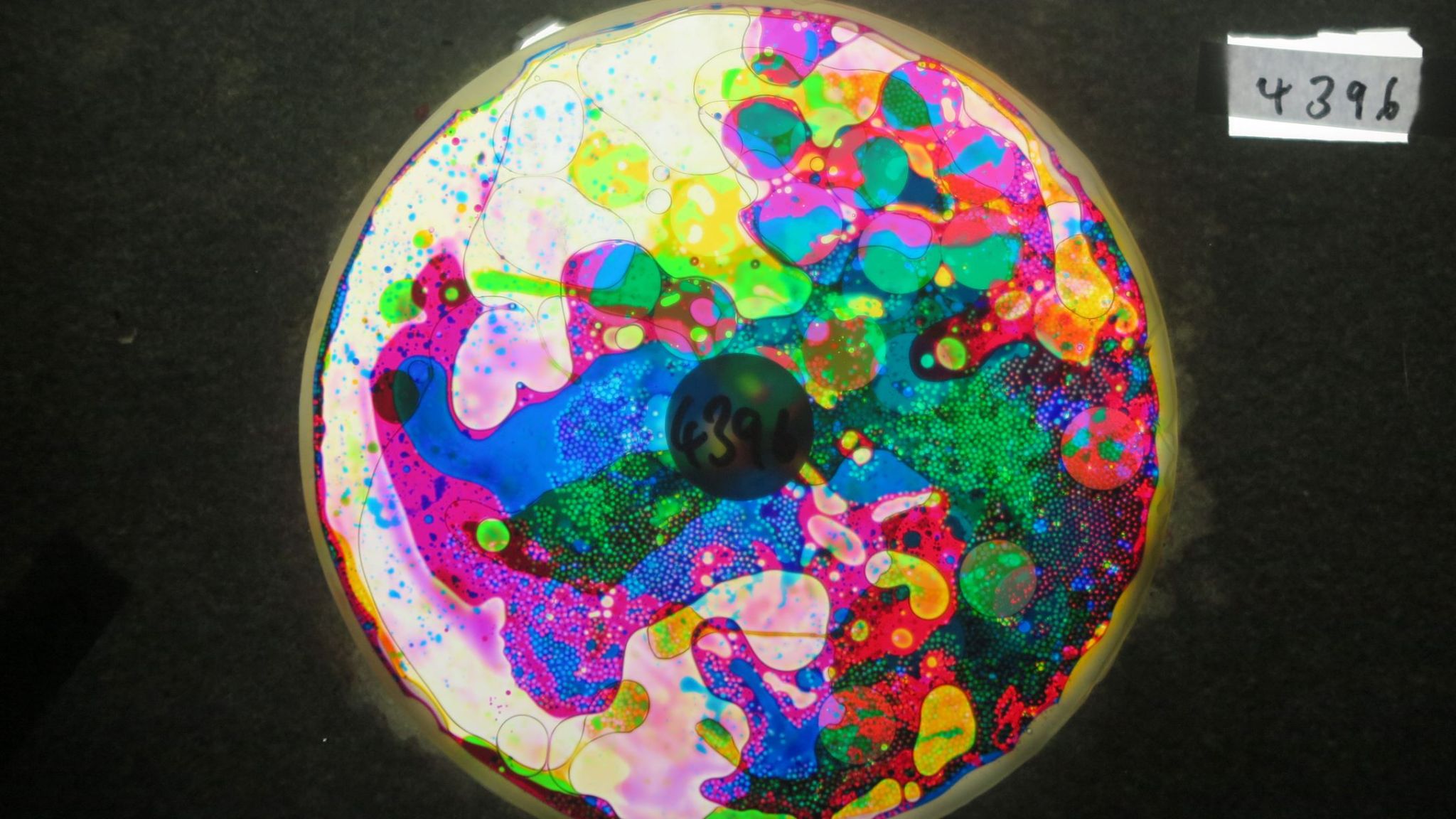 BV4396 bubble vision oil wheel